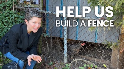  Carly's House - Help Us Build A Fence